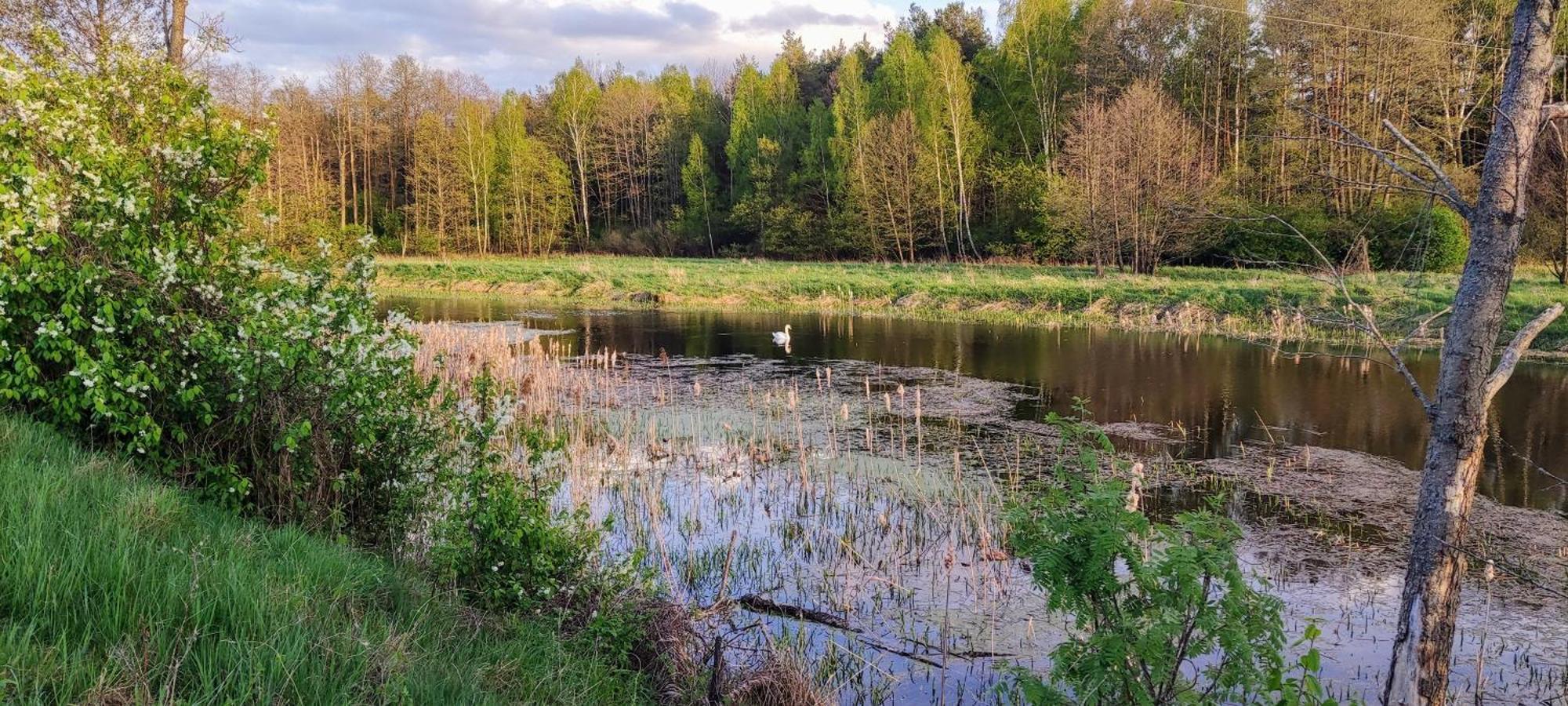 Panorama Podlasie Home&Spa Czyze المظهر الخارجي الصورة
